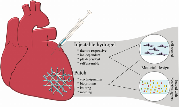 Biomaterials-for-cardiac-applications